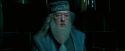 OdF-Potterish_8572.jpg