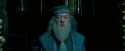 OdF-Potterish_8573.jpg