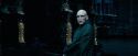 OdF-Potterish_8578.jpg