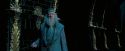 OdF-Potterish_8581.jpg