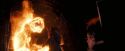 OdF-Potterish_8640.jpg