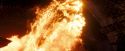 OdF-Potterish_8642.jpg