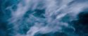 OdF-Potterish_8657.jpg