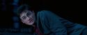 OdF-Potterish_8682.jpg