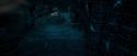 OdF-Potterish_8700.jpg