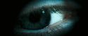 OdF-Potterish_8763.jpg