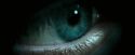 OdF-Potterish_8764.jpg