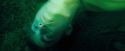 OdF-Potterish_8768.jpg