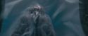 OdF-Potterish_8771.jpg