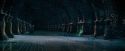 OdF-Potterish_8918.jpg