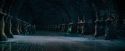 OdF-Potterish_8919.jpg