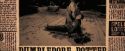 OdF-Potterish_8944.jpg
