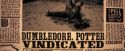OdF-Potterish_8945.jpg