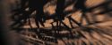 OdF-Potterish_8954.jpg