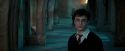 OdF-Potterish_9199.jpg