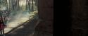 OdF-Potterish_9219.jpg