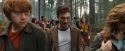 OdF-Potterish_9234.jpg