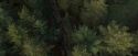 OdF-Potterish_9270.jpg