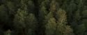 OdF-Potterish_9276.jpg