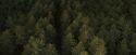 OdF-Potterish_9278.jpg