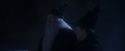 PF-Potterish_00154.jpg