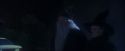 PF-Potterish_00159.jpg