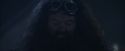 PF-Potterish_00297.jpg