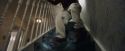 PF-Potterish_00384.jpg