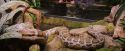PF-Potterish_00520.jpg