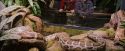 PF-Potterish_00521.jpg
