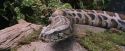 PF-Potterish_00555.jpg