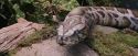 PF-Potterish_00562.jpg