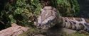 PF-Potterish_00565.jpg