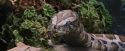 PF-Potterish_00566.jpg