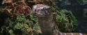 PF-Potterish_00568.jpg