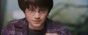 PF-Potterish_00573.jpg