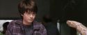 PF-Potterish_00588.jpg