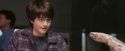 PF-Potterish_00589.jpg