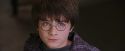 PF-Potterish_00613.jpg