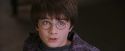 PF-Potterish_00616.jpg