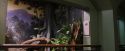 PF-Potterish_00618.jpg