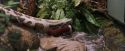 PF-Potterish_00621.jpg