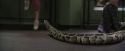 PF-Potterish_00654.jpg