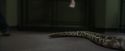 PF-Potterish_00655.jpg