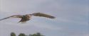 PF-Potterish_00735.jpg