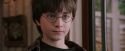 PF-Potterish_00810.jpg