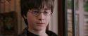 PF-Potterish_00811.jpg