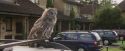 PF-Potterish_00859.jpg