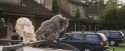 PF-Potterish_00861.jpg