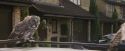 PF-Potterish_00864.jpg